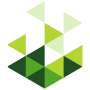 Salad logo
