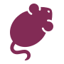 Tolgee logo