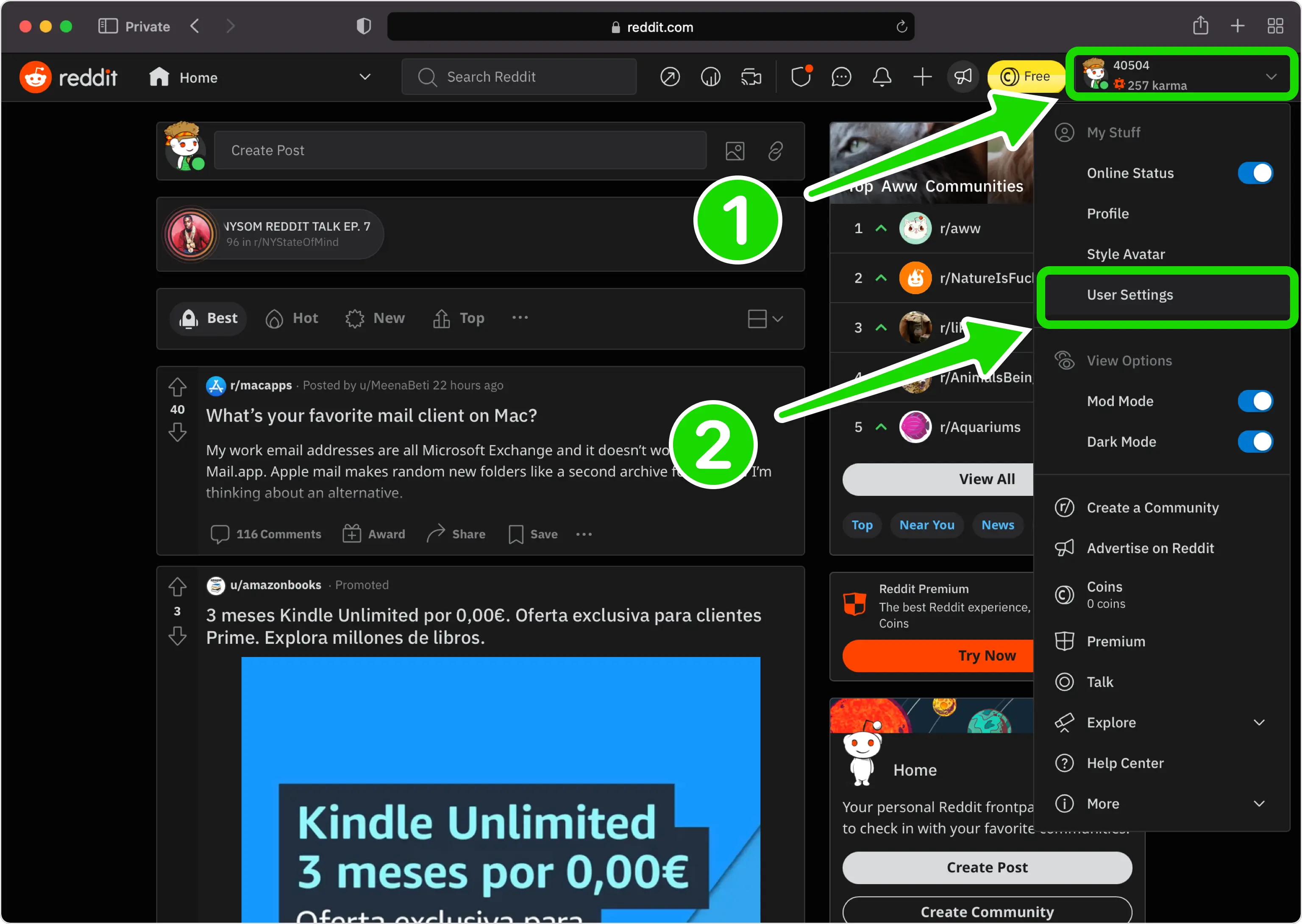 Open Settings on the Reddit website