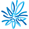 AMP logo