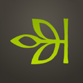 Ancestry logo